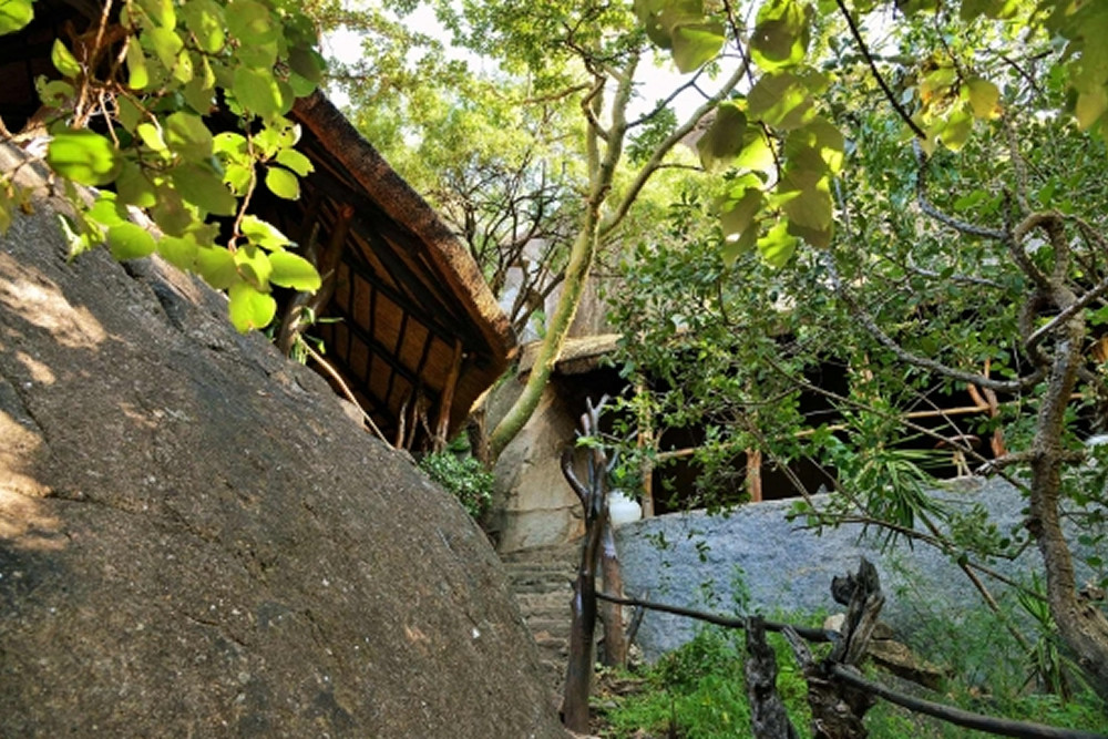 gallery1